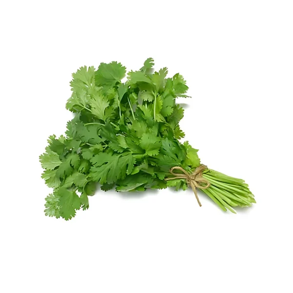 CORIANDER (DHANIYA) (Bunch)