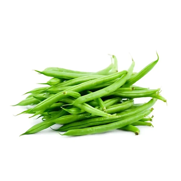 FRENCH BEAN